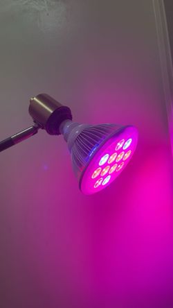 plant grow lamp 