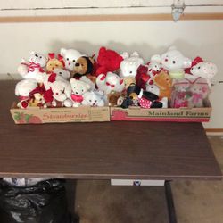 Preloved Valentine's Teddy Bears