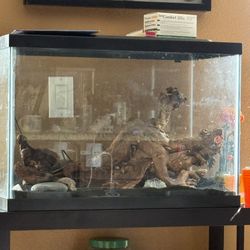 30 Gallon Fluval Fish Tank 