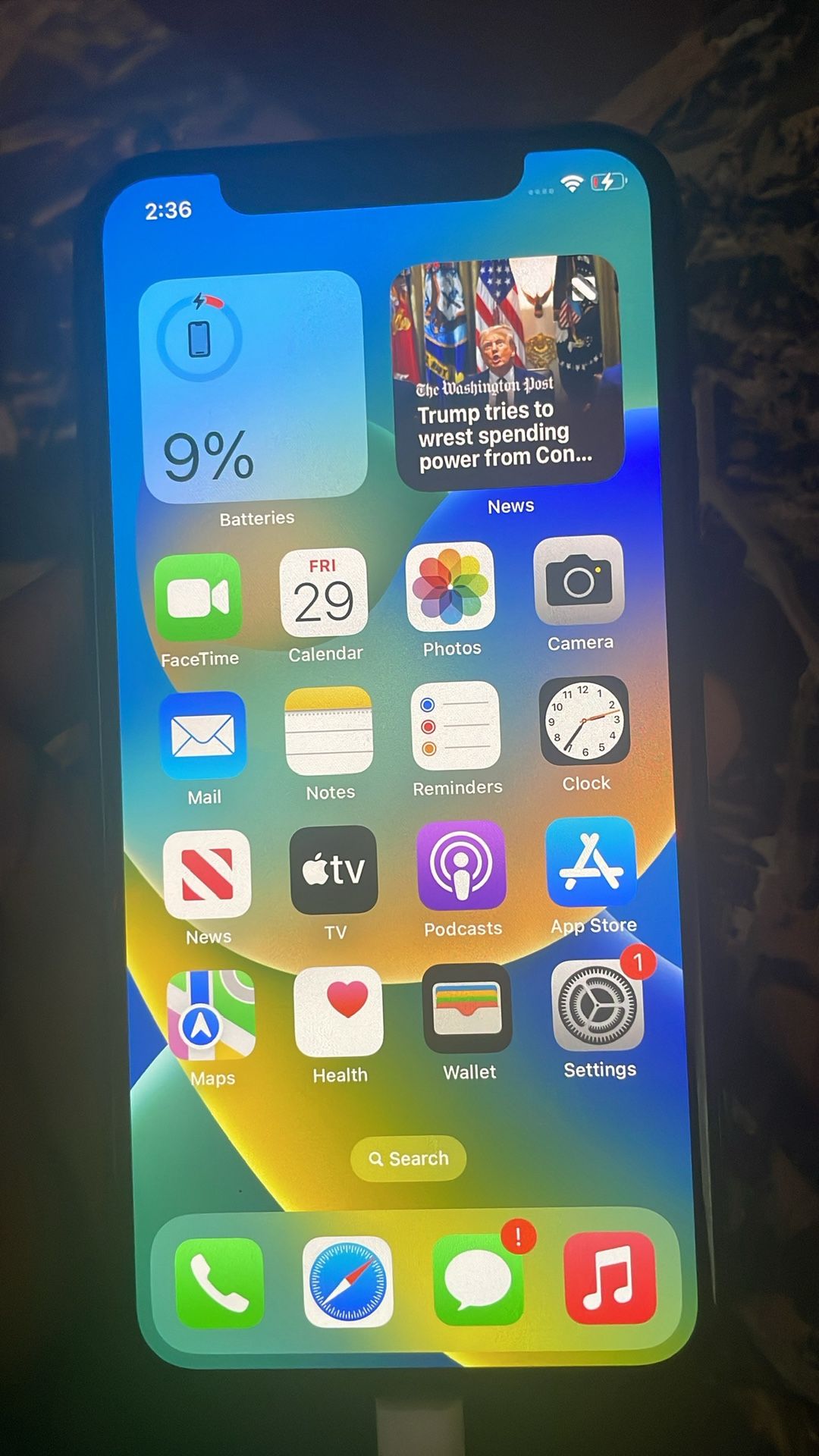 iPhone X