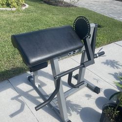 Bicep Triceps System 