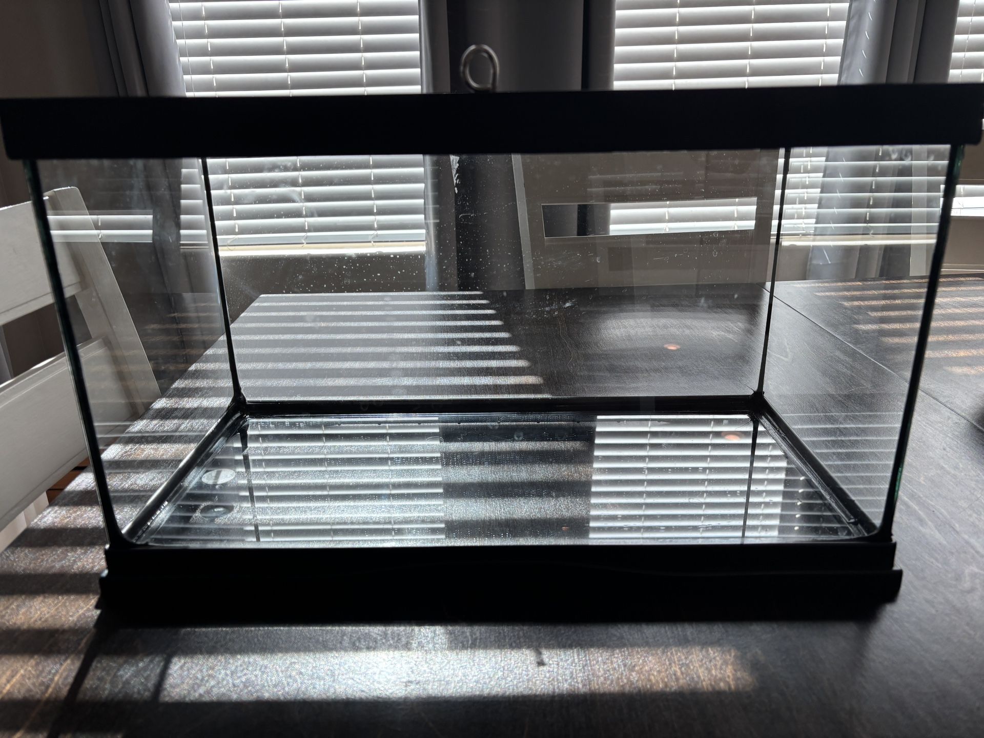 10g Tank