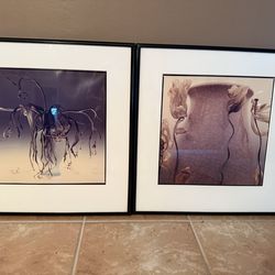 Two Surreal 1985 Cay Lang Framed Photo Prints – “Garden of Delights” & “Ghost” – Excellent Condition! Price is negotiable