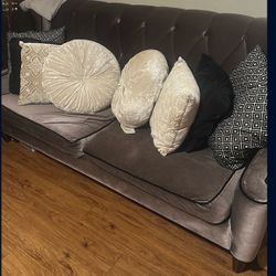 Gray Velvet couch