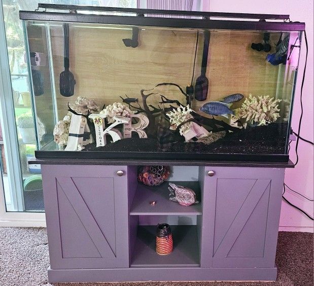 Best Deal 85 Gallon Aquarium 