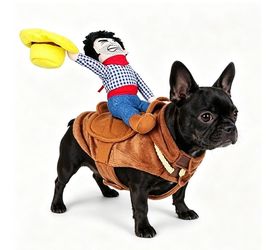 Halloween Dog costume costume