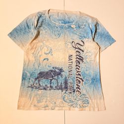 Blue 84 Y2K Yellowstone National Park XL t-shirt