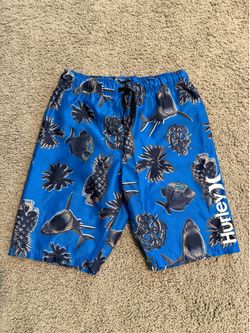 Boy’s Hurley Swim Trunks- 10/12