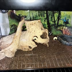 10 gallon tank hide and water bowl,leopard gecko,heatingpad