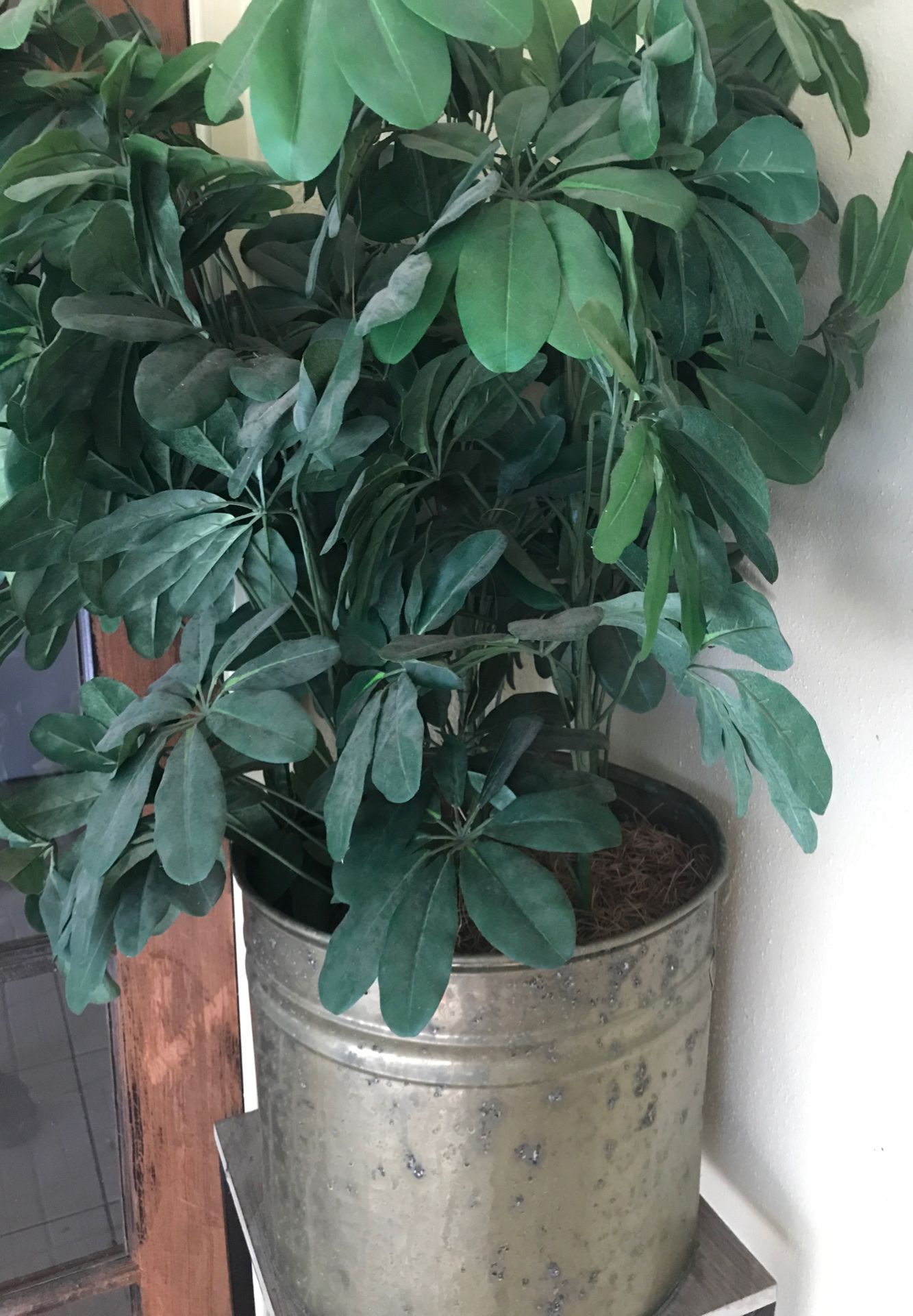 2 1/2 ft fake plant in bronze planter $10