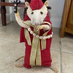 Taxidermy Rat Priest 