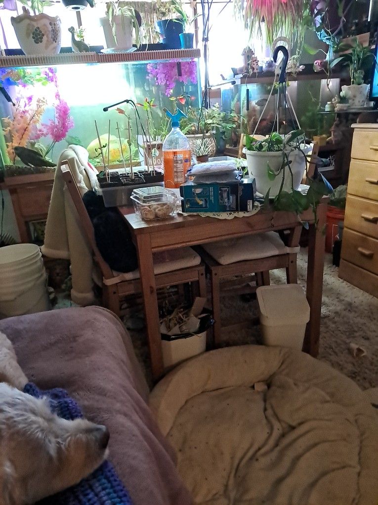 Table and Matching Chairs With Cushions. Like New.