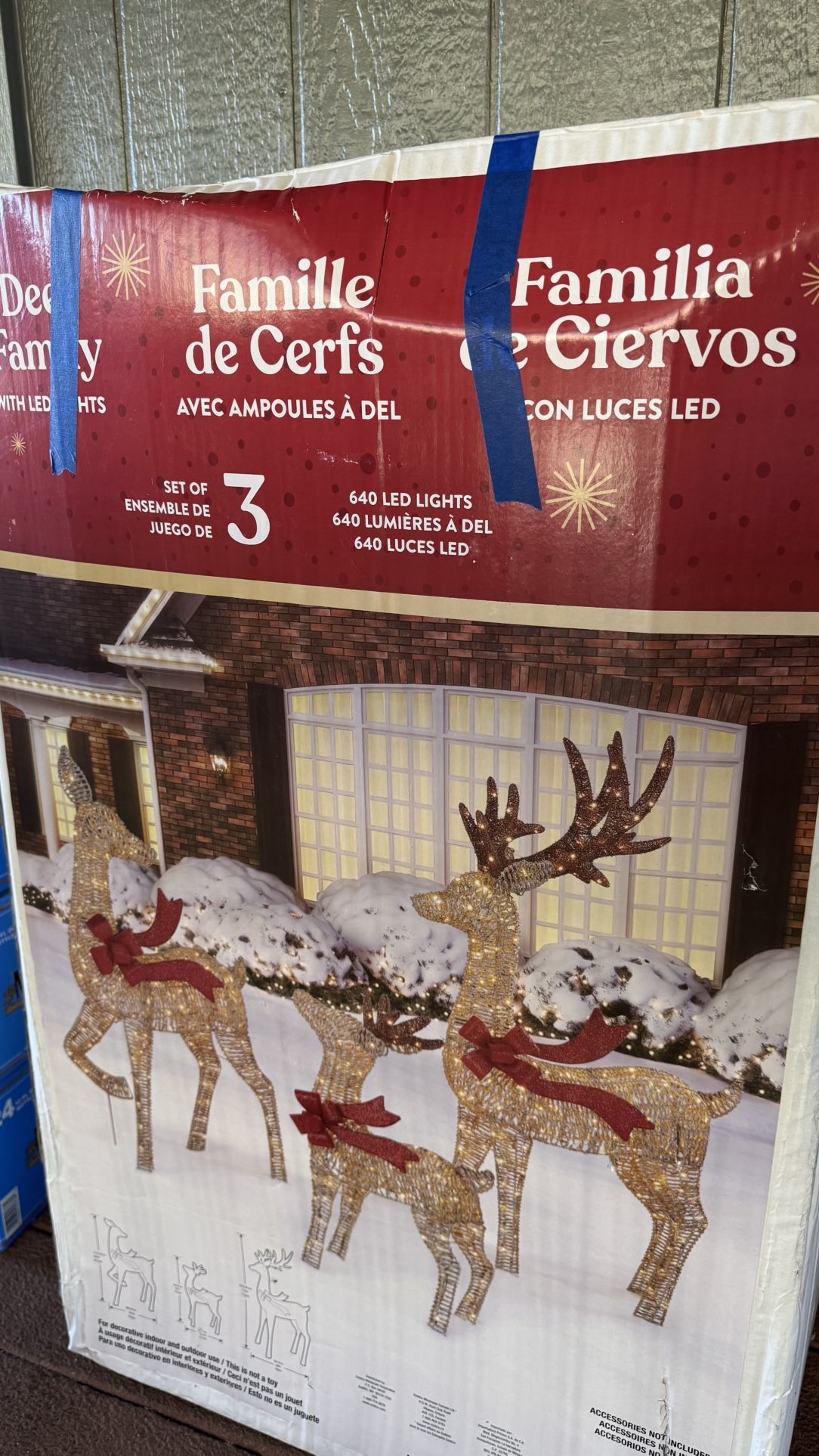 Deer Family