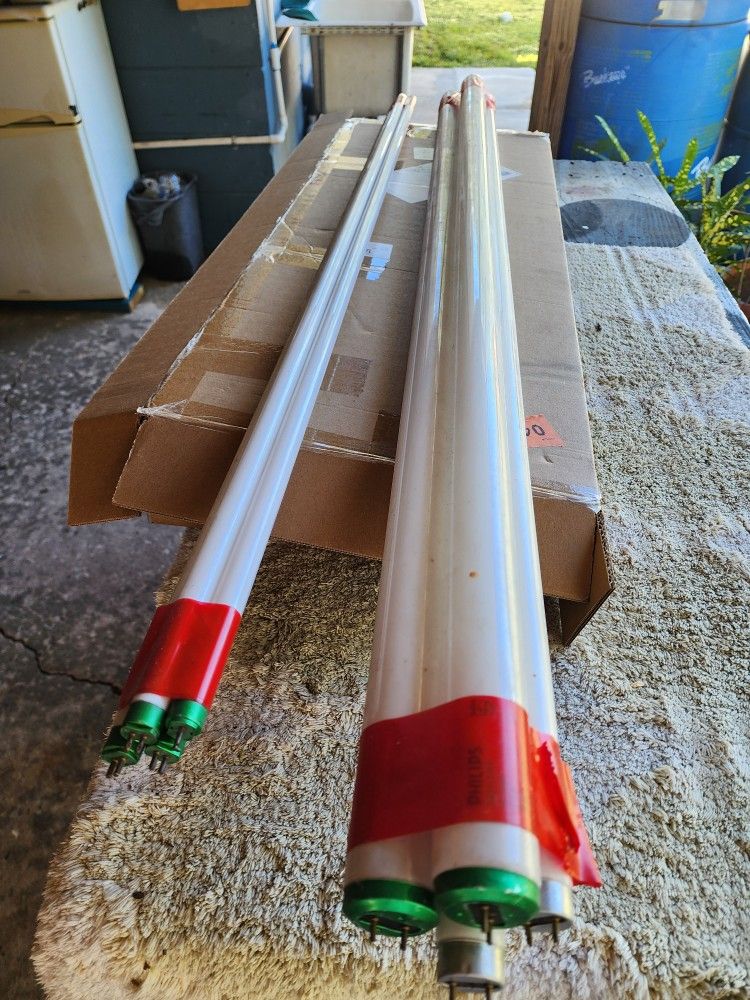 Light Bullbs Around 48" 47" Inches 
