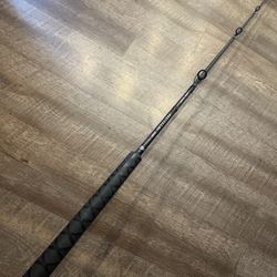 Daiwa Proteus 8’ Boat Mh Salt Water Fishing Rod. 