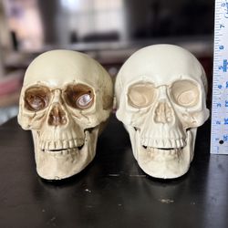 Halloween Skulls