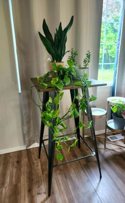 Tall wood top bar height table
