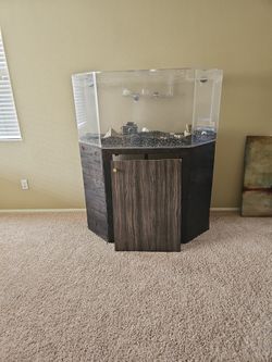 150 Gallon Fish Tank