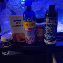 Marine Fish Bundle