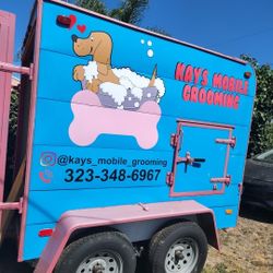 5 By 10 2022 Trailer New Floor Never Been Used