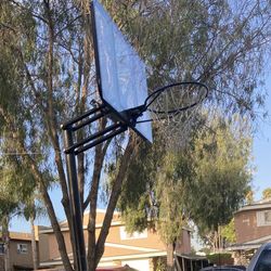 Basketball Hoop