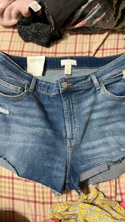 H&M Short Size 18 (BNWT)