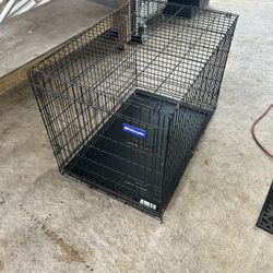 Pet Mate