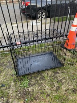 Kennel