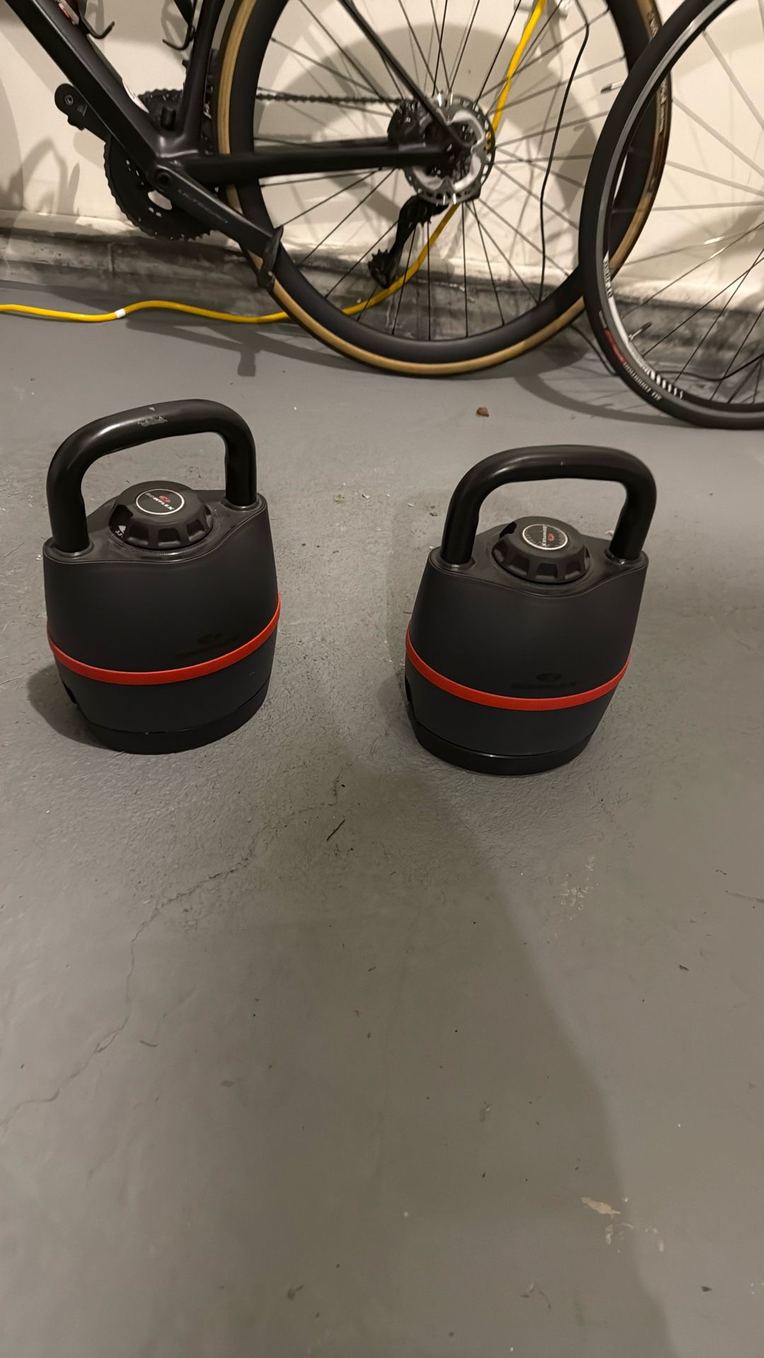 Bowflex Kettlebell Pair