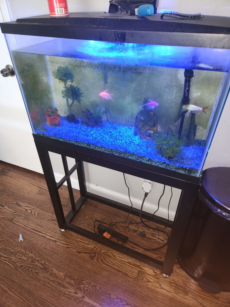 29 Gallon Fish Tank With Fish With a stand