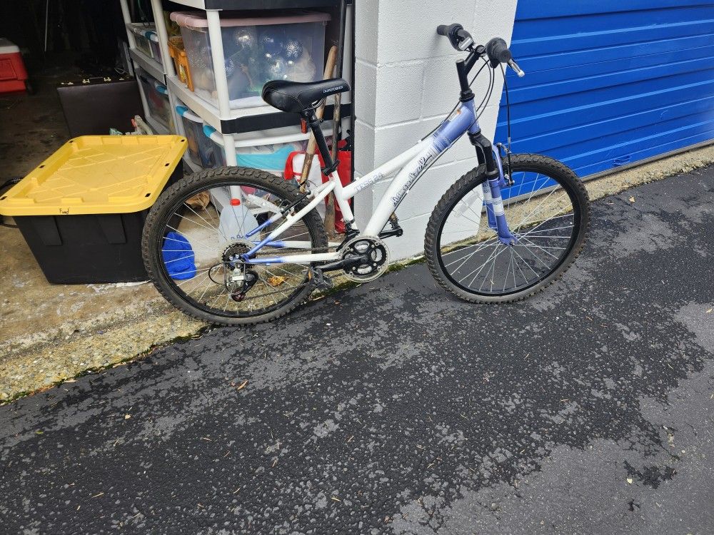 Girls Bike 24 Inch New