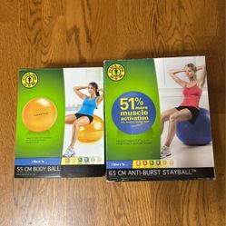 2 Gold’s Gym Body Balls 