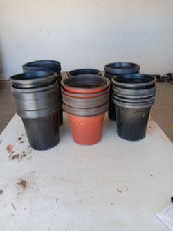 Nursery pots, 1 gallon