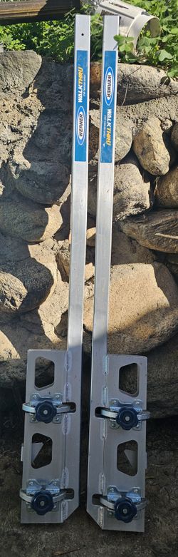 Walk Thru Ladder Extension 