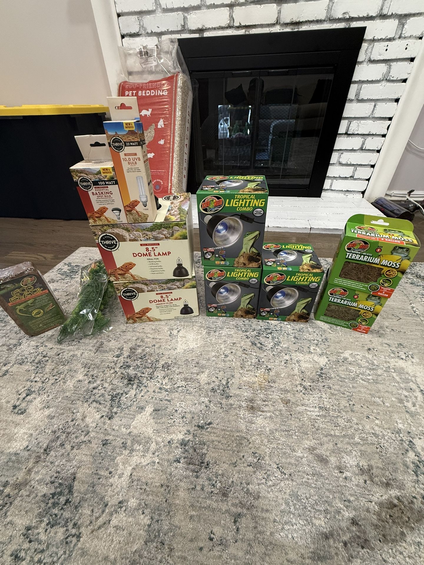 Lizard Snake Gecko Frogs 