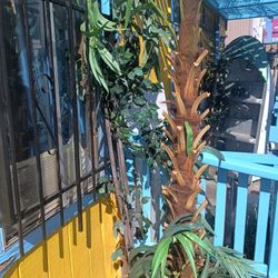 Fake. Trees