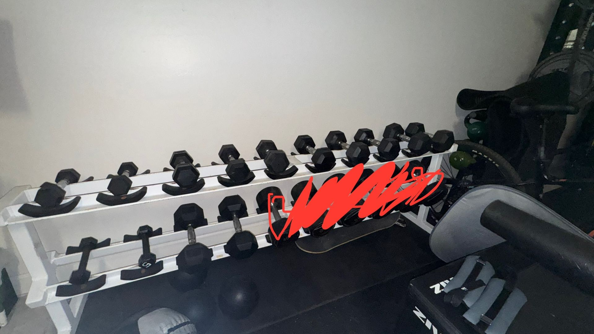 Dumbbell Weights (5-30lbs)