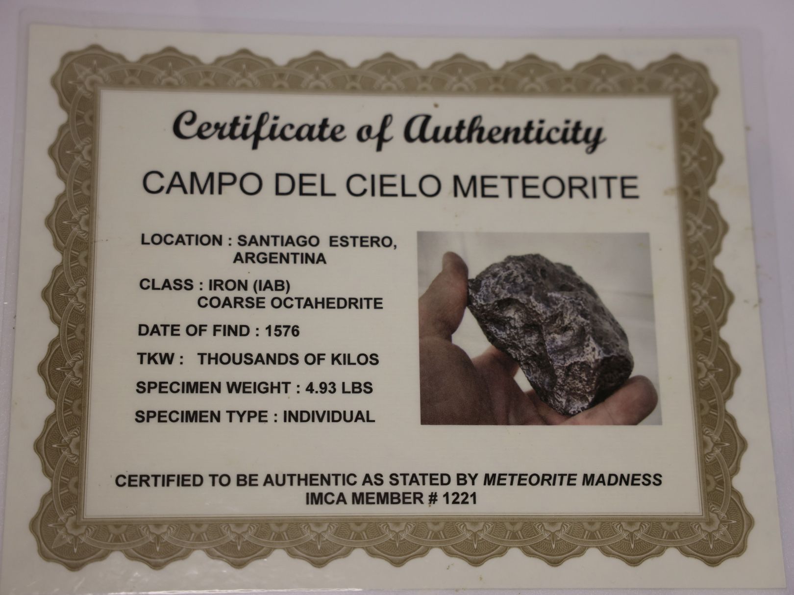 Authentic Campo Del Cielo Meteorite with COA