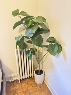 Fake floor Plant