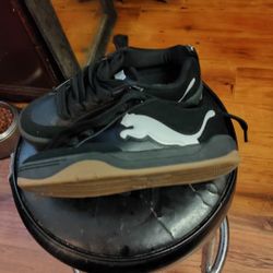 Puma Men's Shoes 