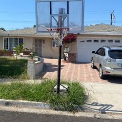 Basketball Court