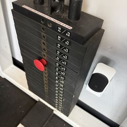 Precor Icarian Vertical Pec Deck( Fly Rear Delt) -$1.999 OBO