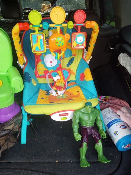 Vibrating Bouncer