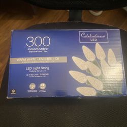 NEW!! Two Sets Of Indoor Outdoor Christmas Lights