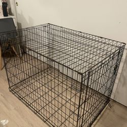 Dogs Cage 