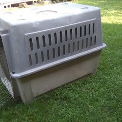 Large Dog Kennel