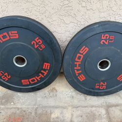 2-25 Lbs Bumper Plate Weights 