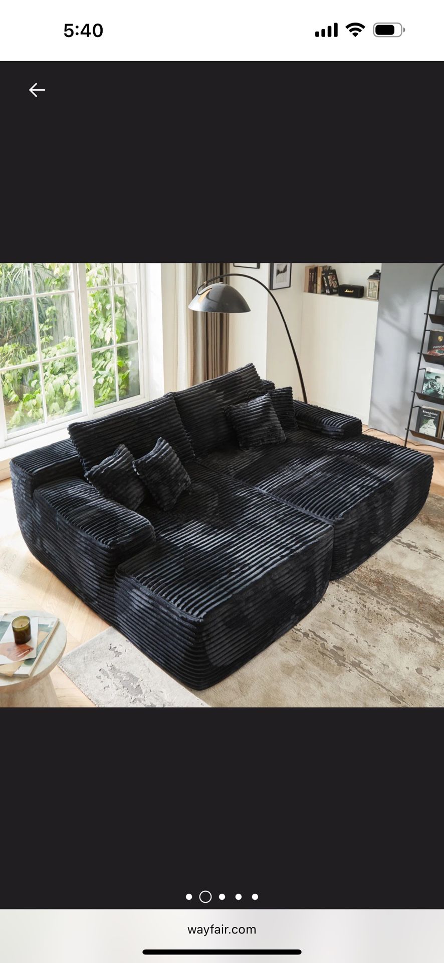 Sleeper Sofa