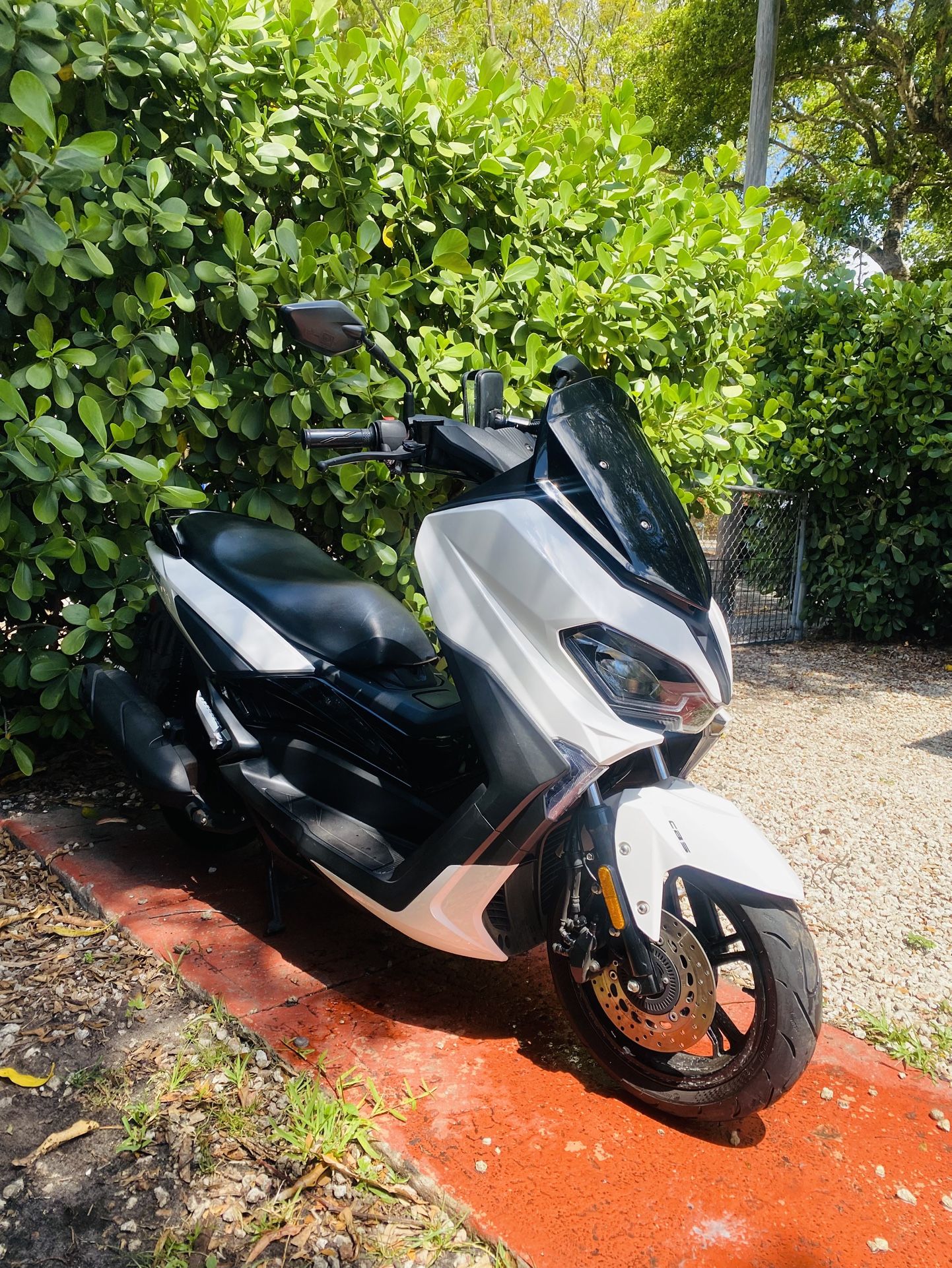 Scooter 150 Cc