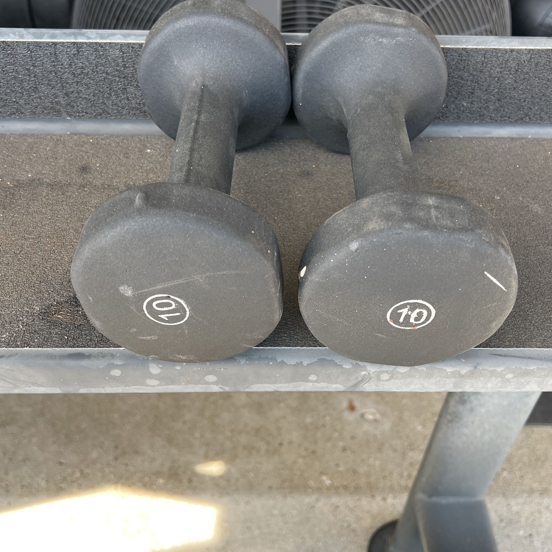 Pair of 10 pound dumbbells